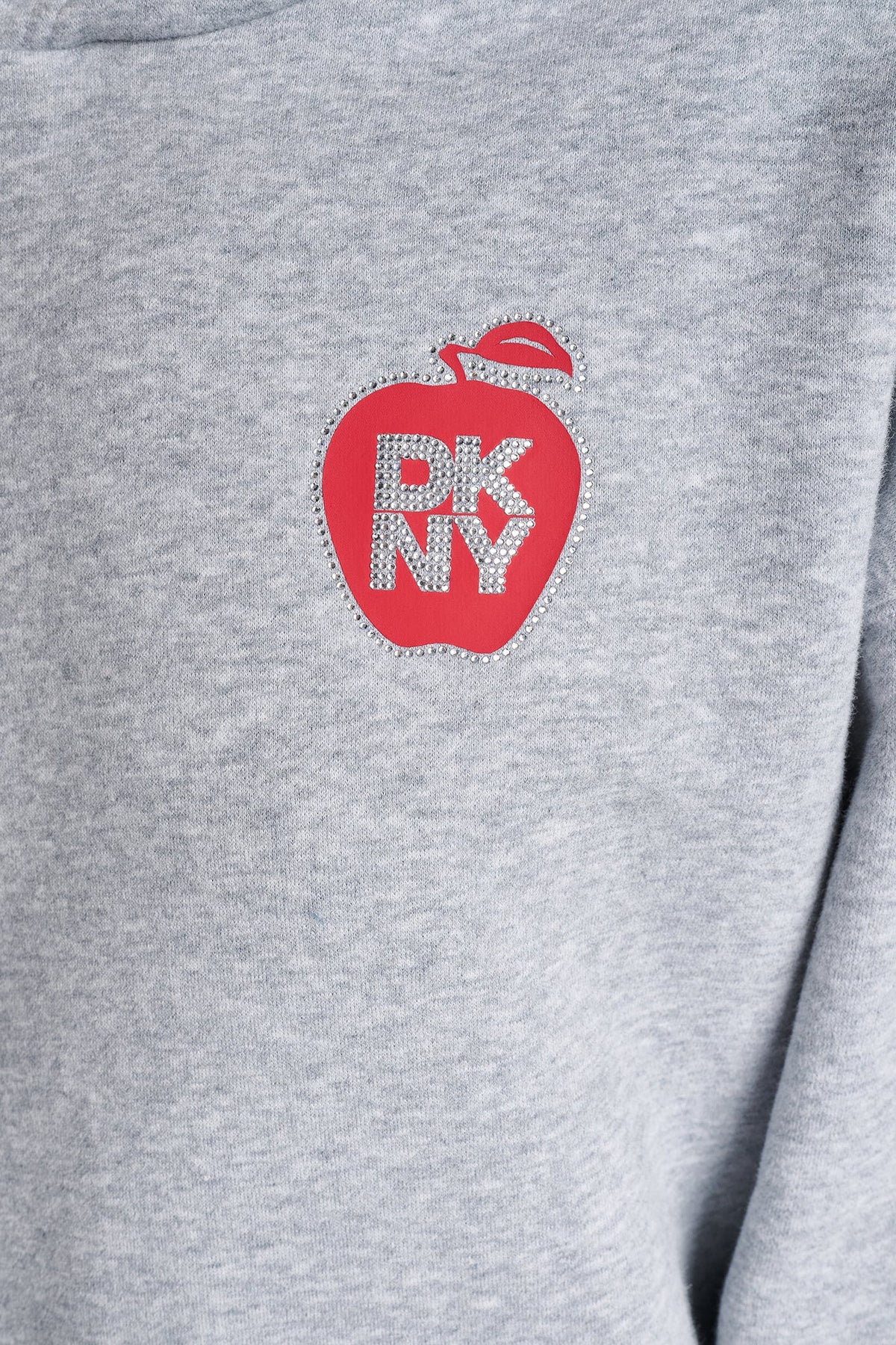DKNY OVERSIZED BIG APPLE LOGO HOODIE